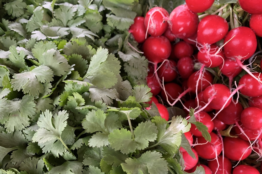 Roudnické farmářské trhy