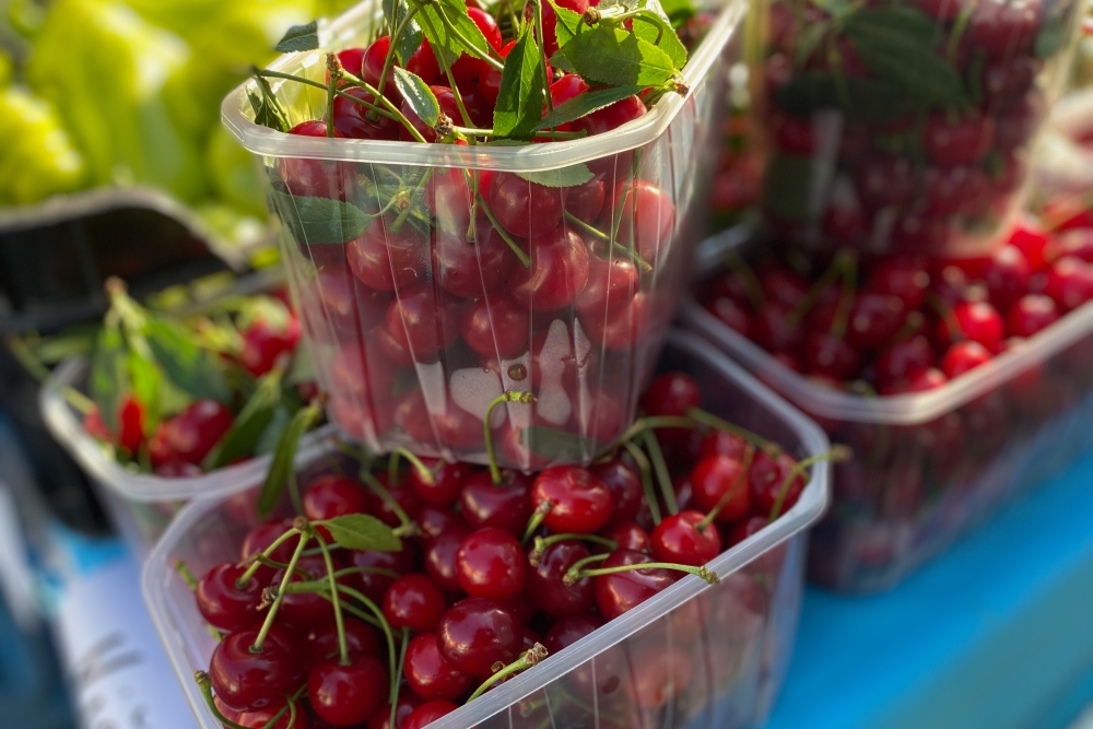 Roudnické farmářské trhy