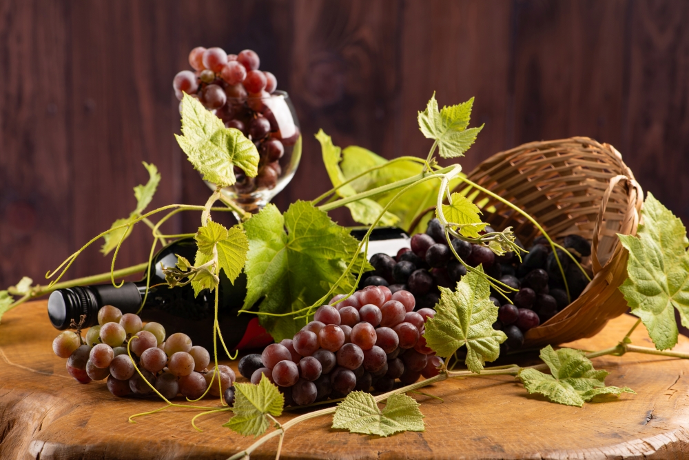 Roudnické vinobraní 2026