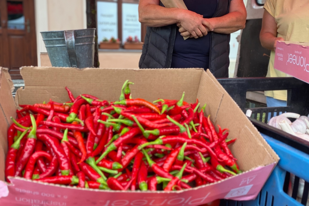 Roudnické farmářské trhy