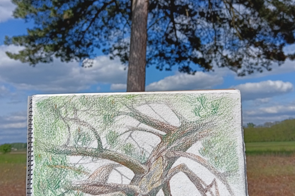 Magdalena Kopecká / O životě a smrti stromů