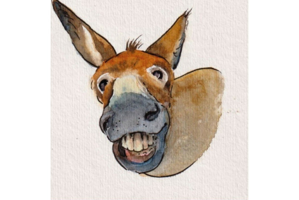COUBIC: Výstava ilustrací Ivany Kubíkové