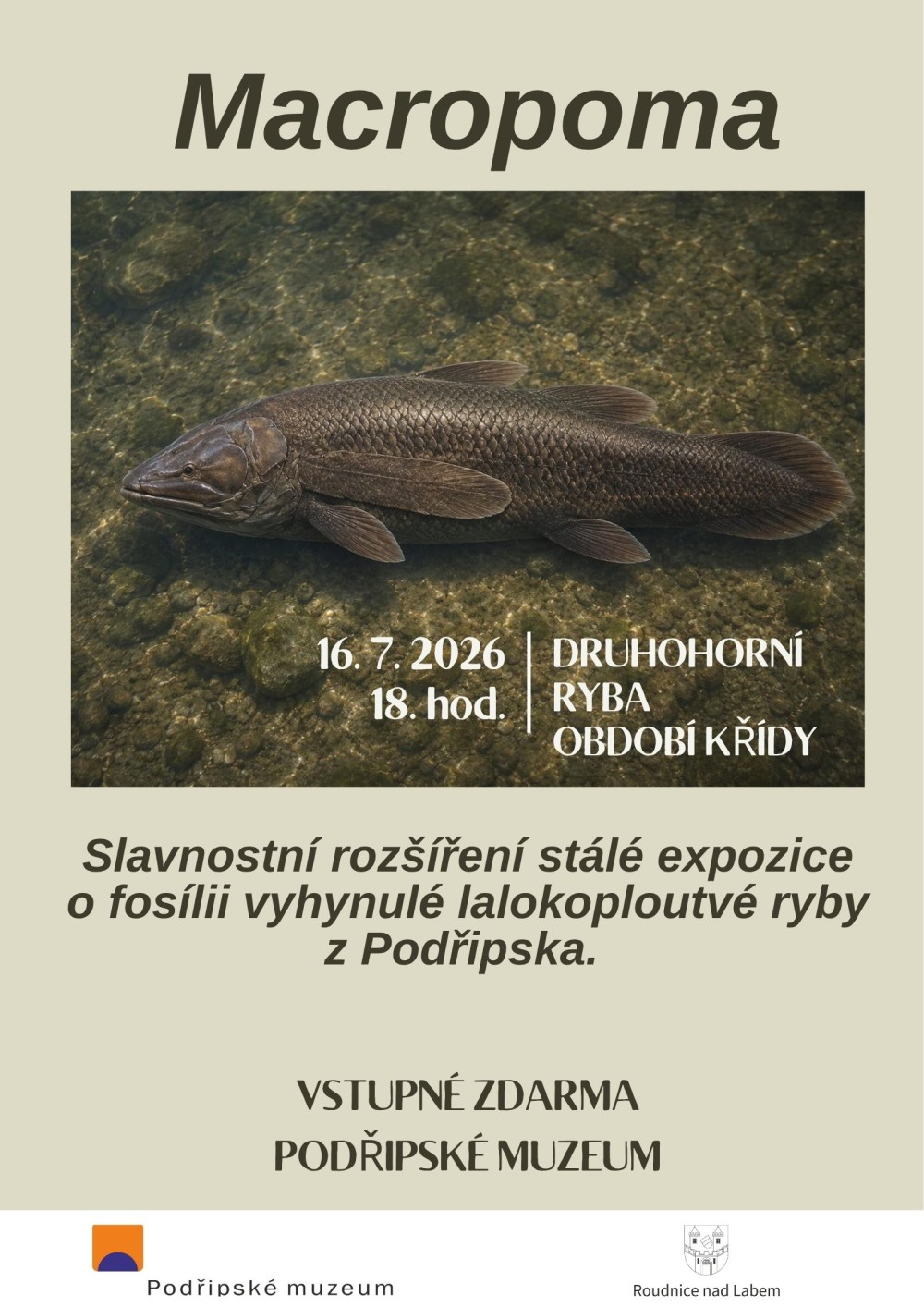 Plakát – Macropoma